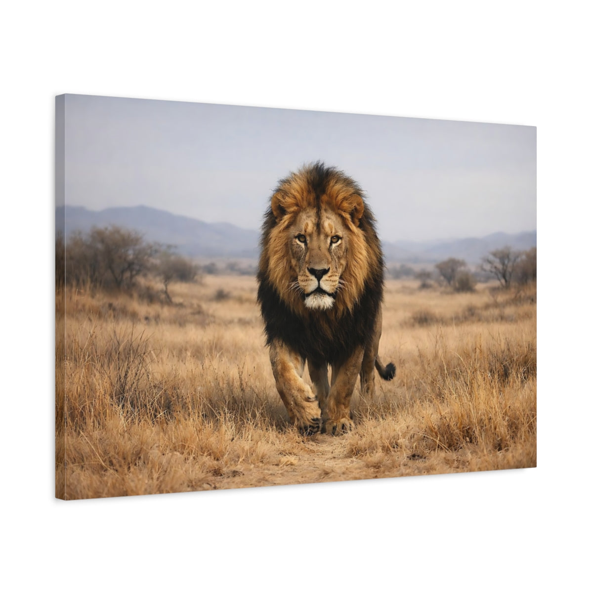 Side Mockup 2. Animals Lion Brown And Gold shown as stretched canvas wall art
