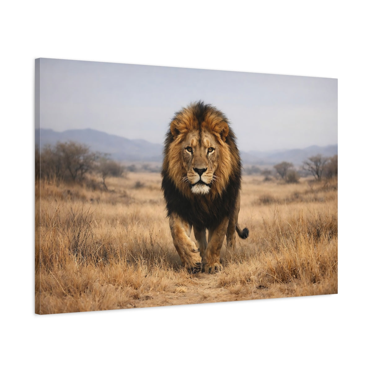 Side Mockup 1. Animals Lion Brown And Gold shown as stretched canvas wall art