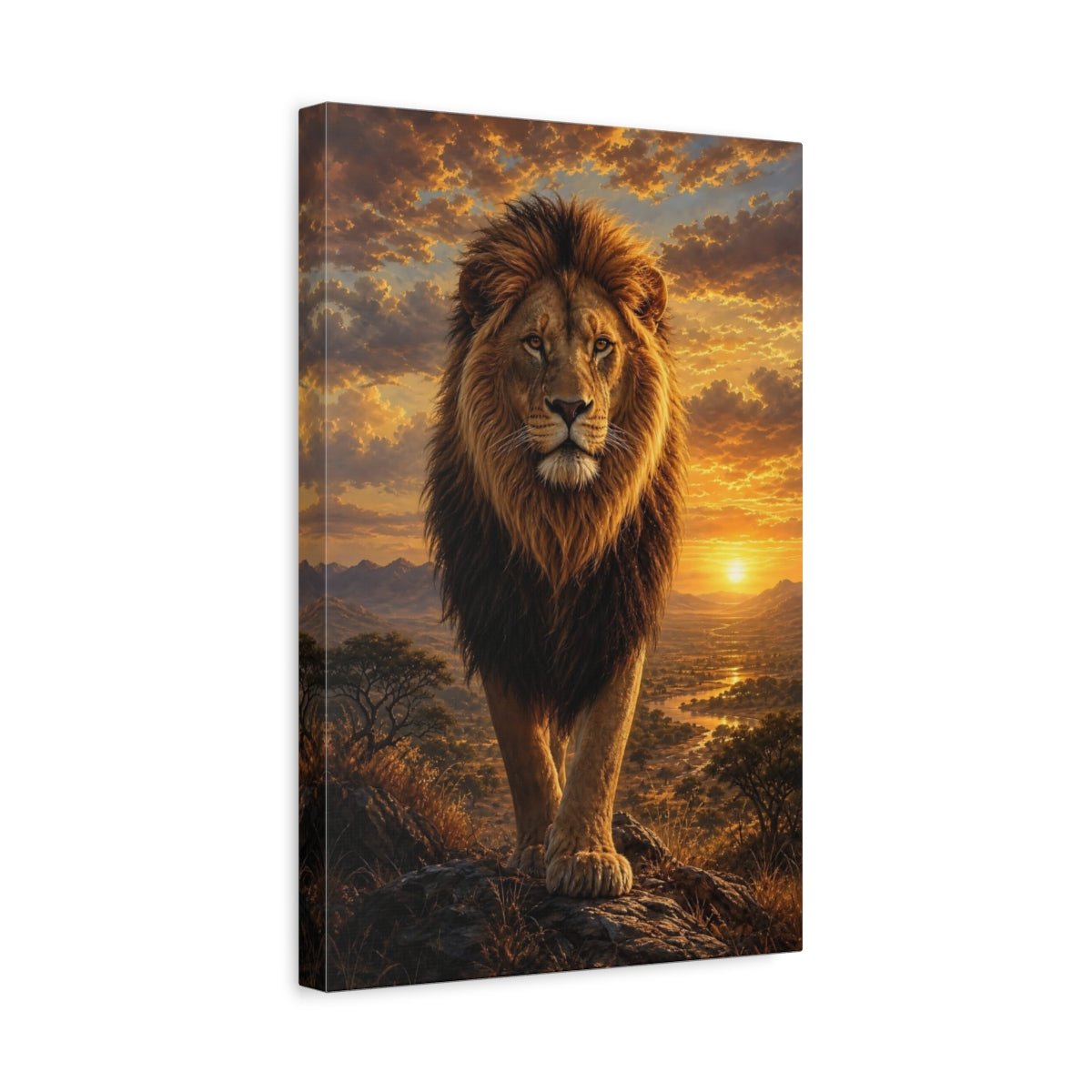 Animals Lion Golden Sunset Canvas Wall Art Print – realistic Living Room, Above Couch - YesArtYes