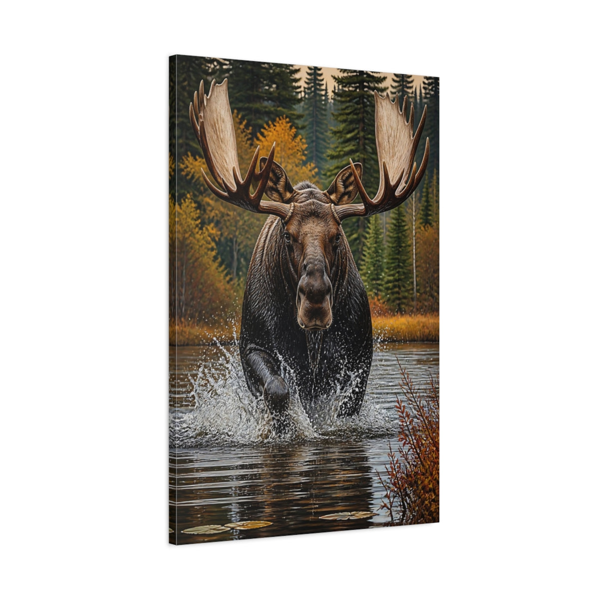 Main Mockup. Animals Majestic Bull Moose Splash shown as canvas print