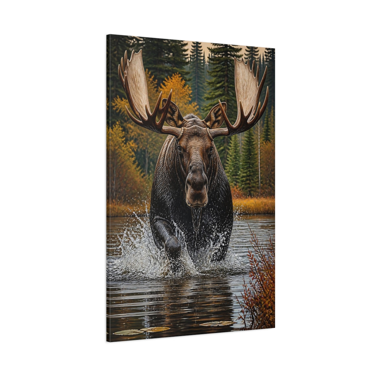 Side Mockup 1. Animals Majestic Bull Moose Splash shown as canvas print