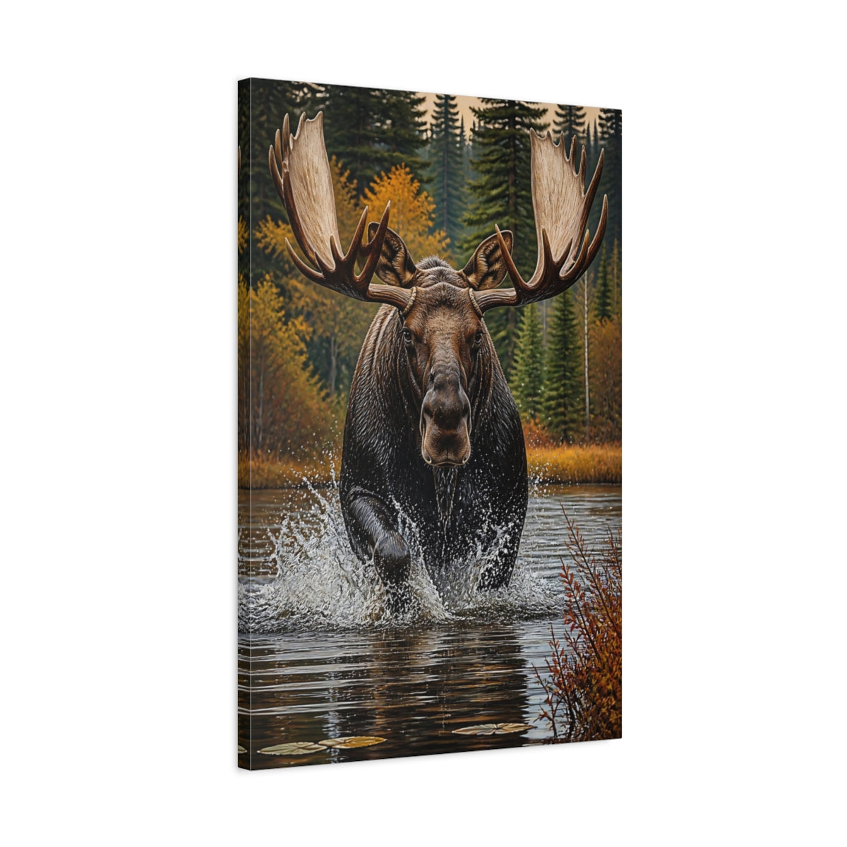 Side Mockup 2. Animals Majestic Bull Moose Splash shown as canvas print