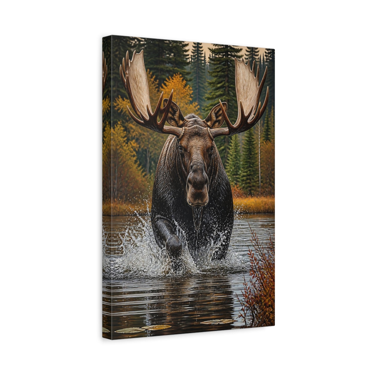 Side Mockup 4. Animals Majestic Bull Moose Splash shown as canvas print