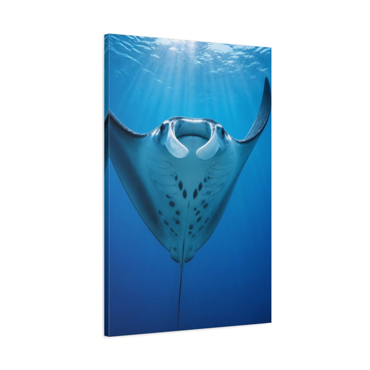 Main Mockup. Animals Manta Ray Rising shown as canvas print