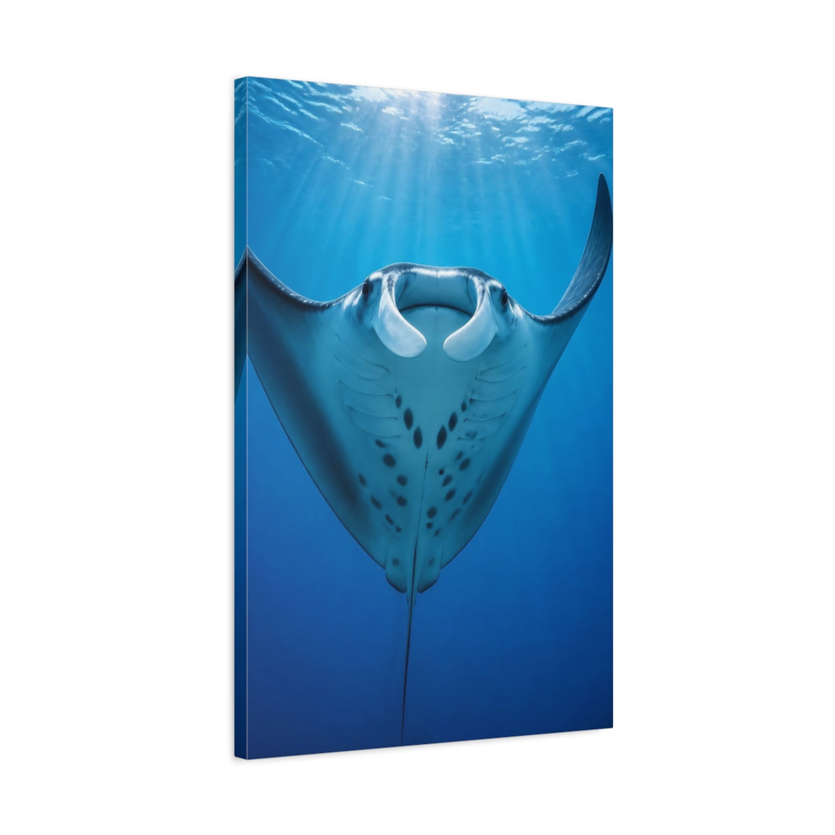 Side Mockup 2. Animals Manta Ray Rising shown as canvas print