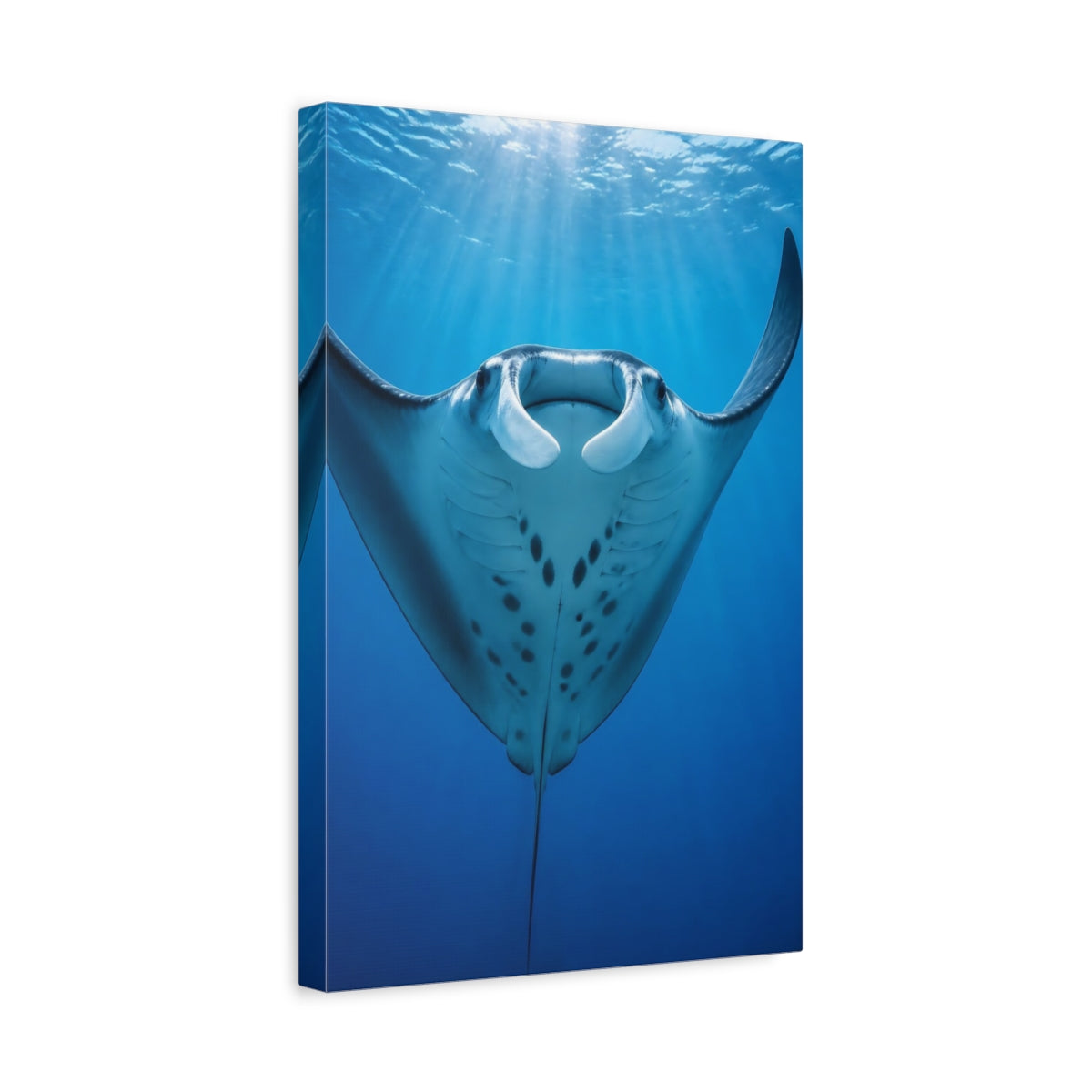 Side Mockup 4. Animals Manta Ray Rising shown as canvas print