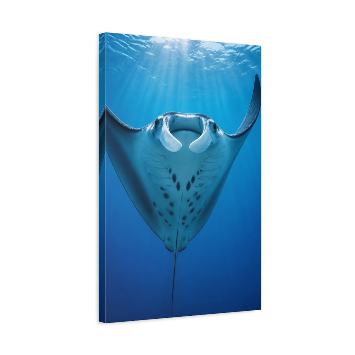 Side Mockup 3. Animals Manta Ray Rising shown as canvas print