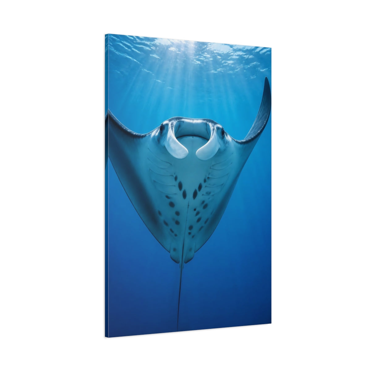 Side Mockup 1. Animals Manta Ray Rising shown as canvas print