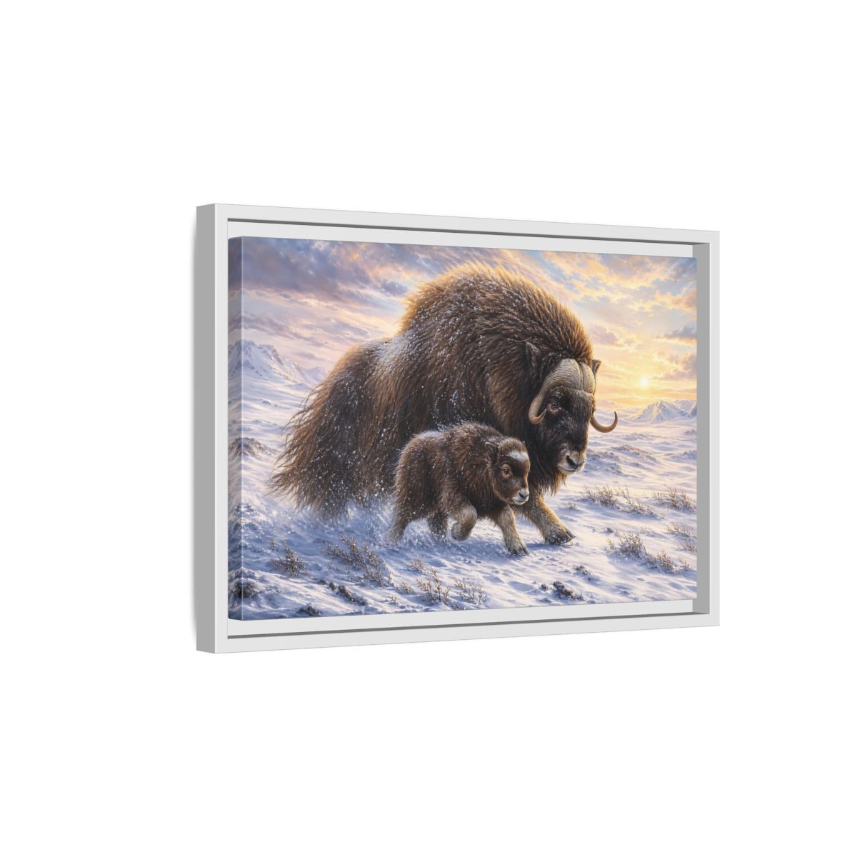 Side Mockup 4. Animals Musk Oxen Brown And White shown as stretched canvas wall art