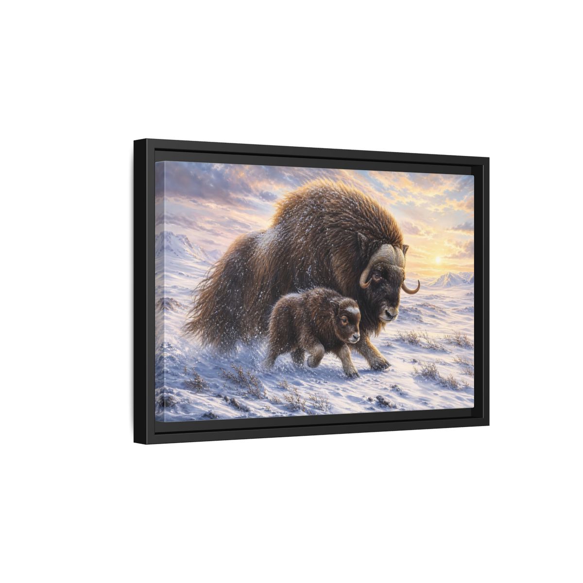 Side Mockup 6. Animals Musk Oxen Brown And White shown as stretched canvas wall art