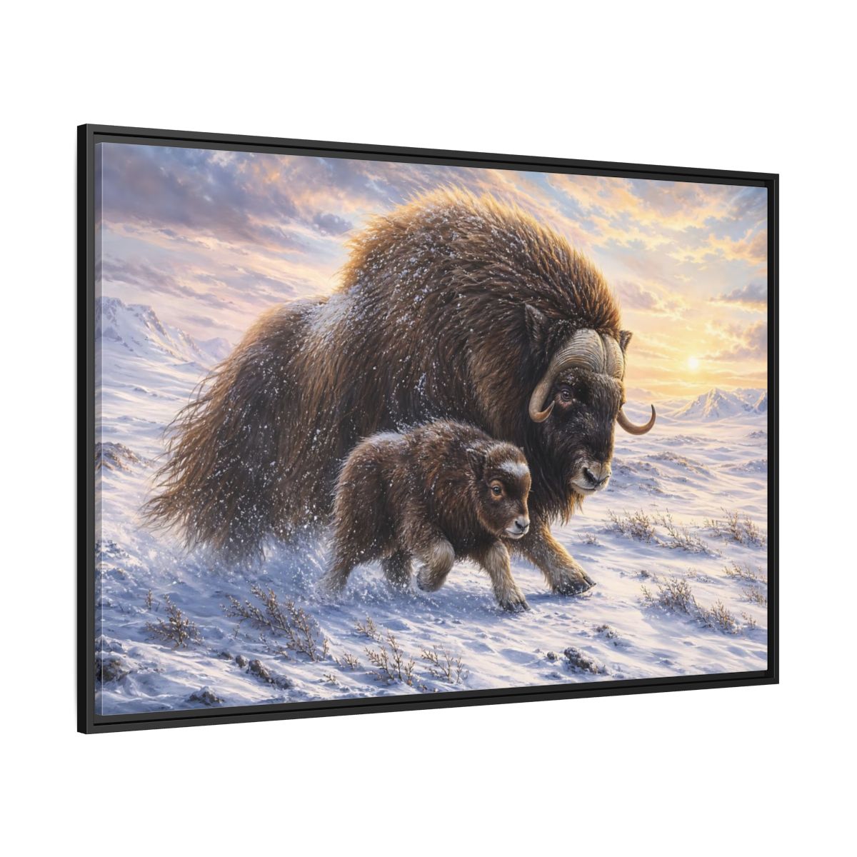 Side Mockup 12. Animals Musk Oxen Brown And White shown as stretched canvas wall art
