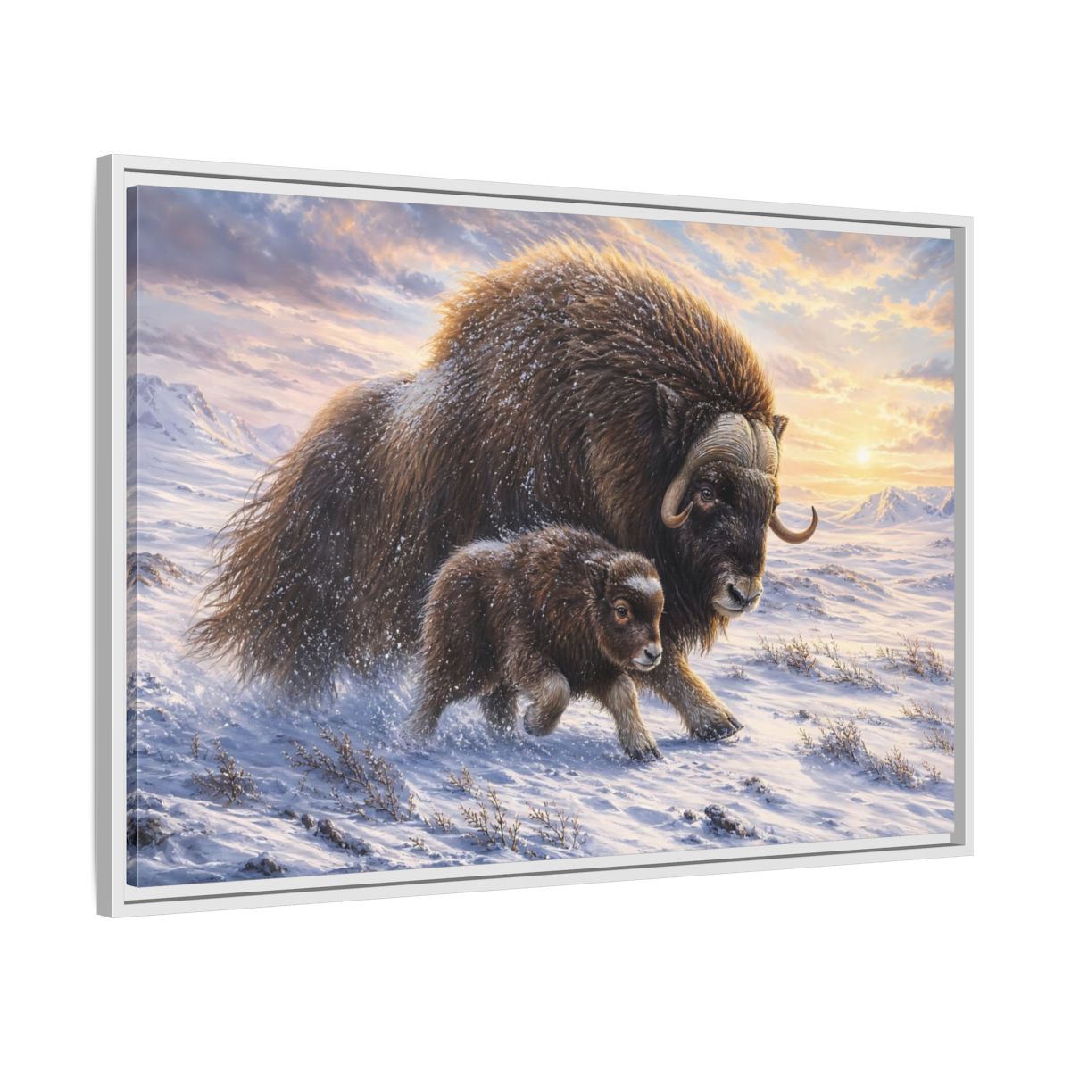 Side Mockup 9. Animals Musk Oxen Brown And White shown as stretched canvas wall art