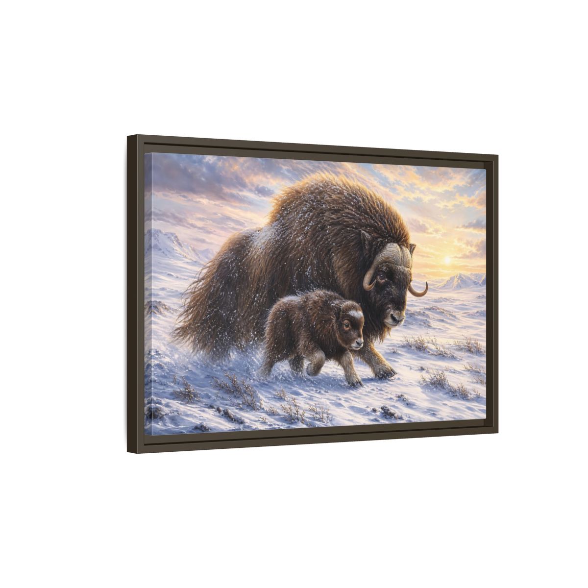 Side Mockup 2. Animals Musk Oxen Brown And White shown as stretched canvas wall art
