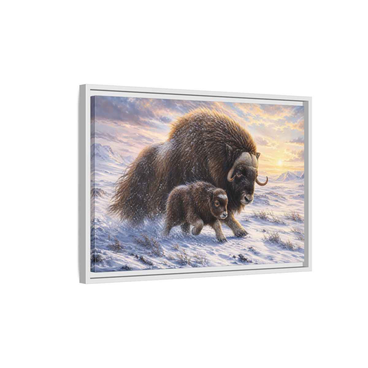 Side Mockup 1. Animals Musk Oxen Brown And White shown as stretched canvas wall art