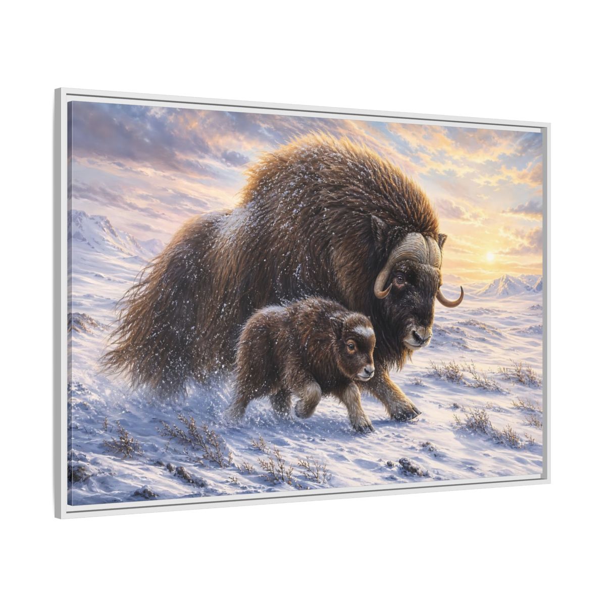 Side Mockup 7. Animals Musk Oxen Brown And White shown as stretched canvas wall art