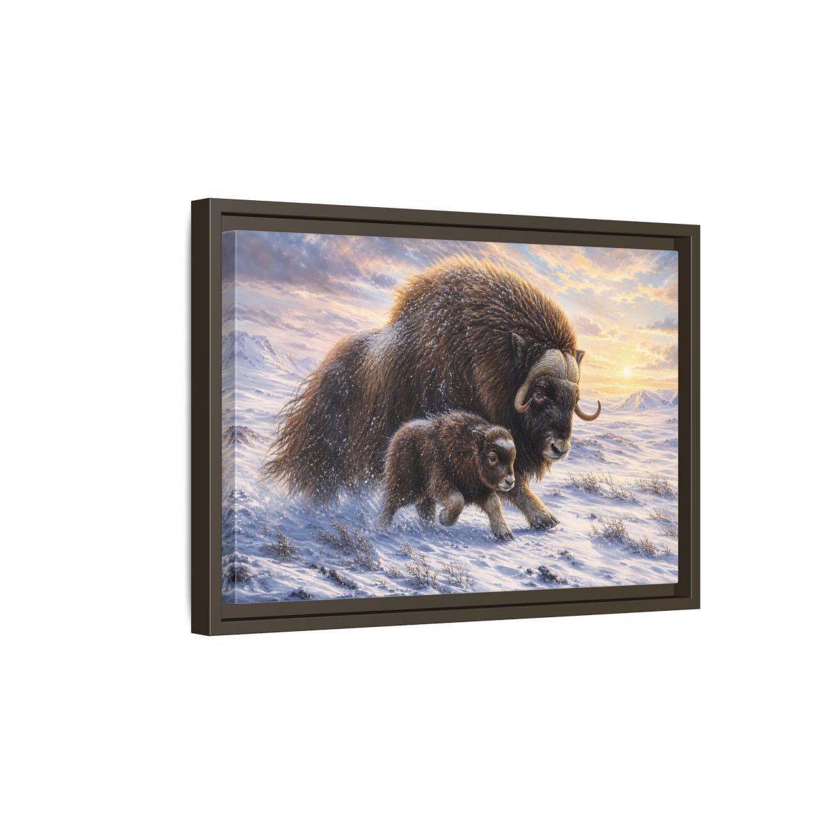 Side Mockup 5. Animals Musk Oxen Brown And White shown as stretched canvas wall art