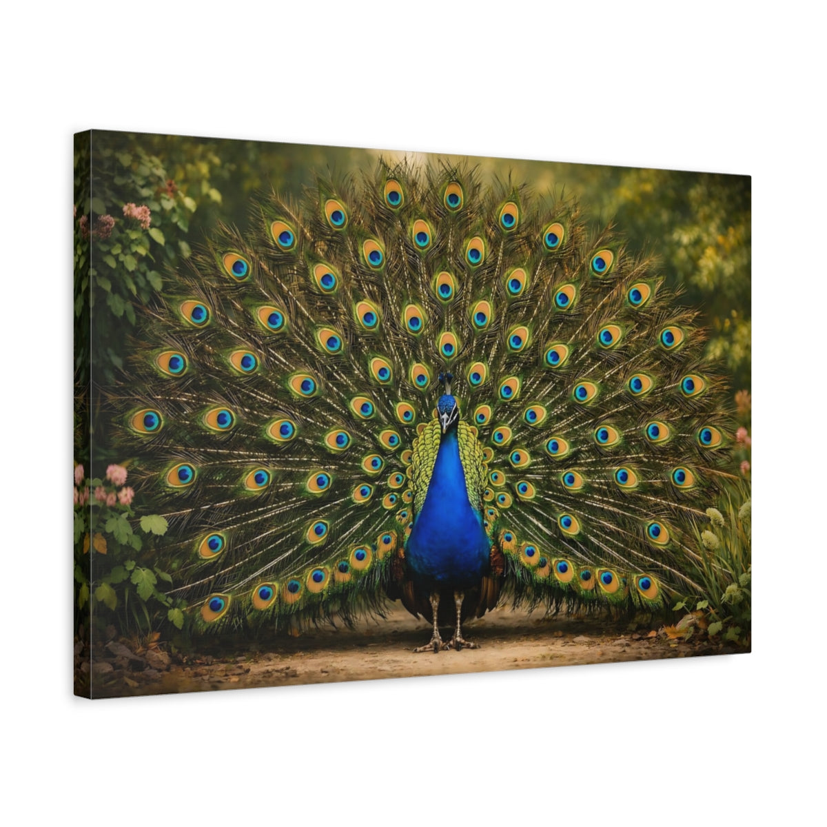 Side Mockup 3. Animals Peacock Vibrant Peacock shown as stretched canvas wall art