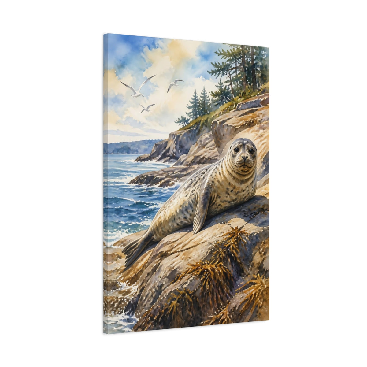 Main Mockup. Animals Sunlit Harbor Seal On Rocks shown as canvas print