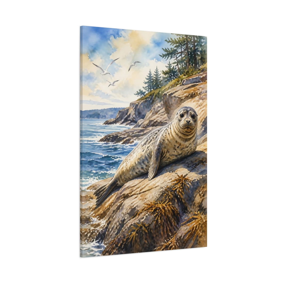 Side Mockup 1. Animals Sunlit Harbor Seal On Rocks shown as canvas print