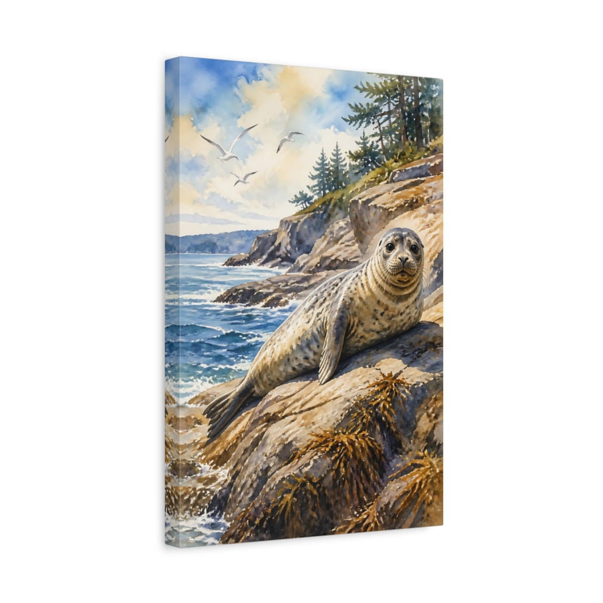 Side Mockup 4. Animals Sunlit Harbor Seal On Rocks shown as canvas print