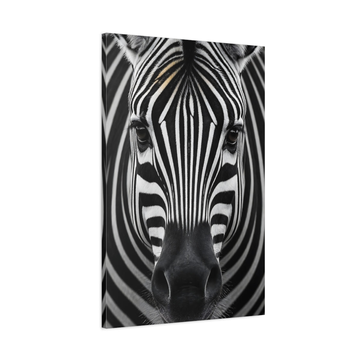 Main Mockup. Animals Zebra Wildlife Portrait shown as canvas print
