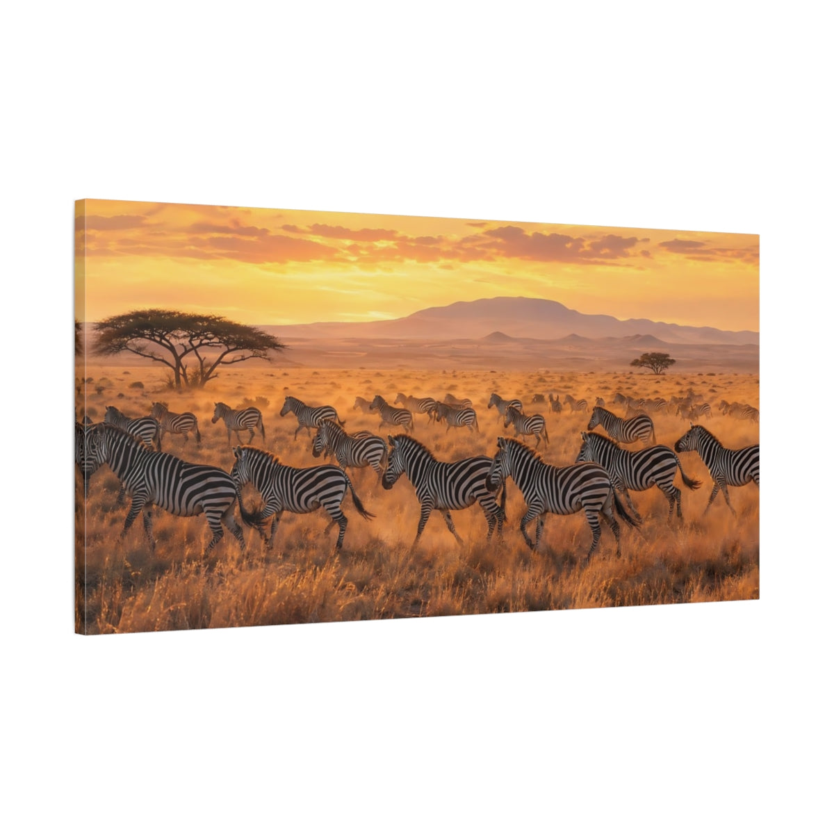 Main Mockup. Animals Zebras Golden Zebras shown as stretched canvas wall art