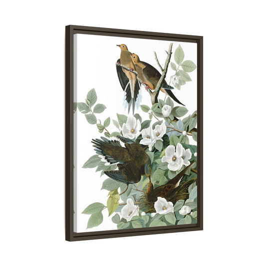 Birds Canvas Wall Art Print - Vintage Audubon Nature Carolina Pigeon Decor