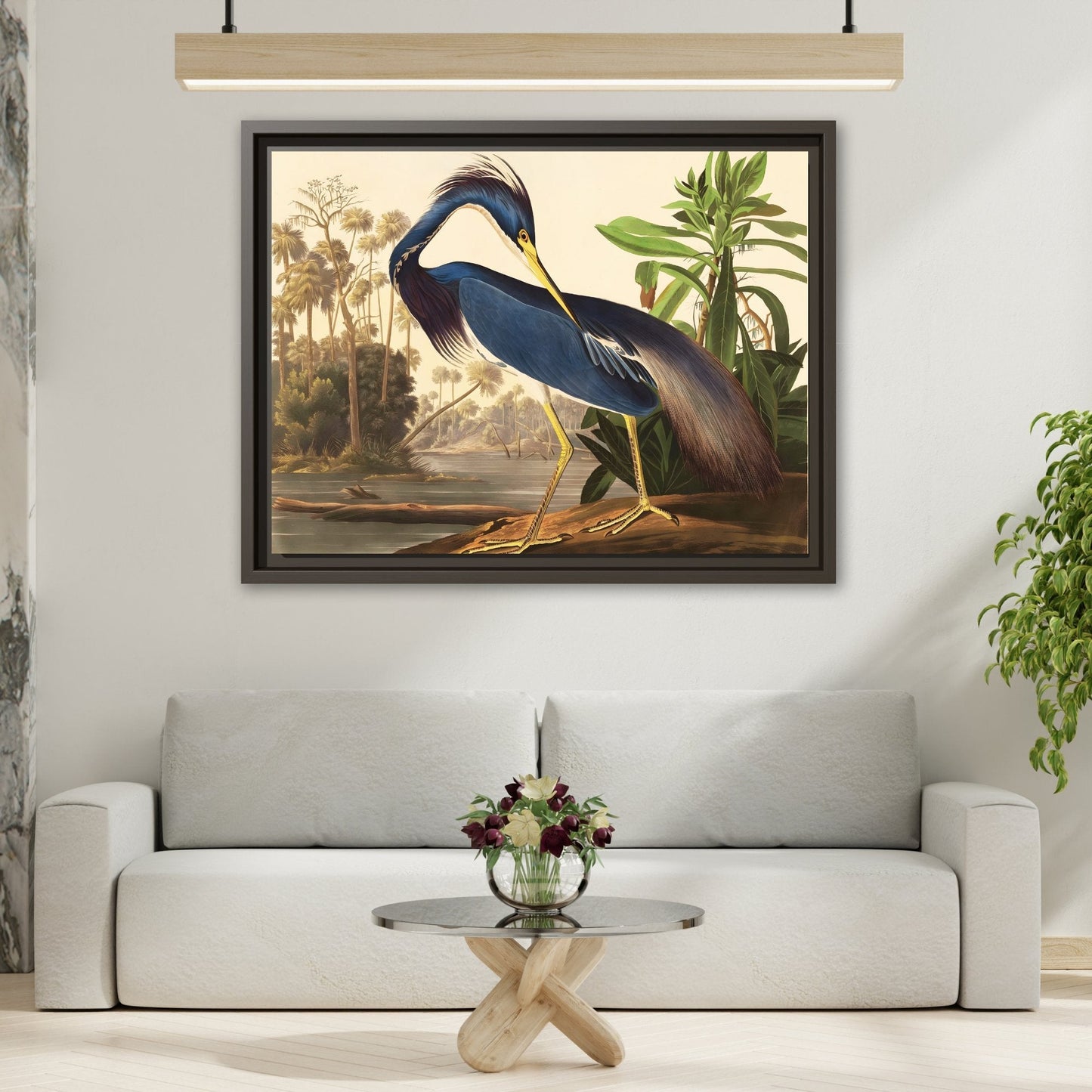 Audubon Louisiana Heron Canvas Wall Art Print - Framed America Bird Prints