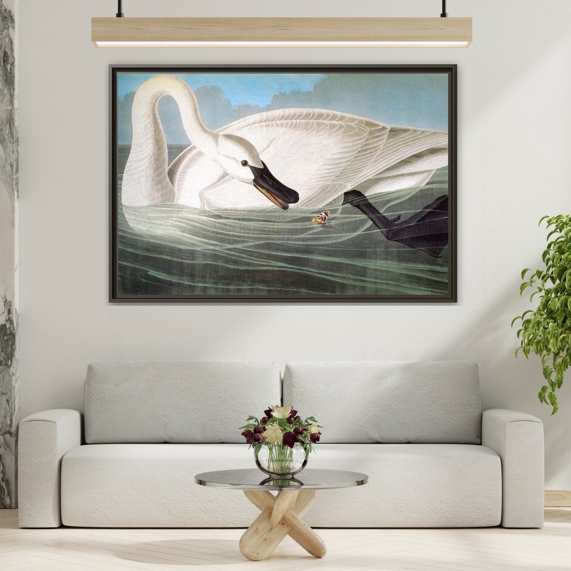 Audubon Trumpeter Swan Canvas Prints - America Birds Wall Art