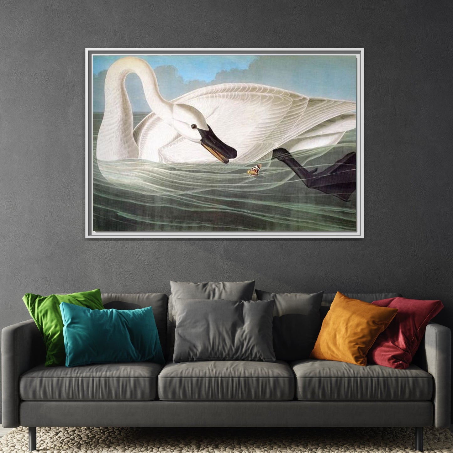 Audubon Trumpeter Swan Canvas Prints - America Birds Wall Art