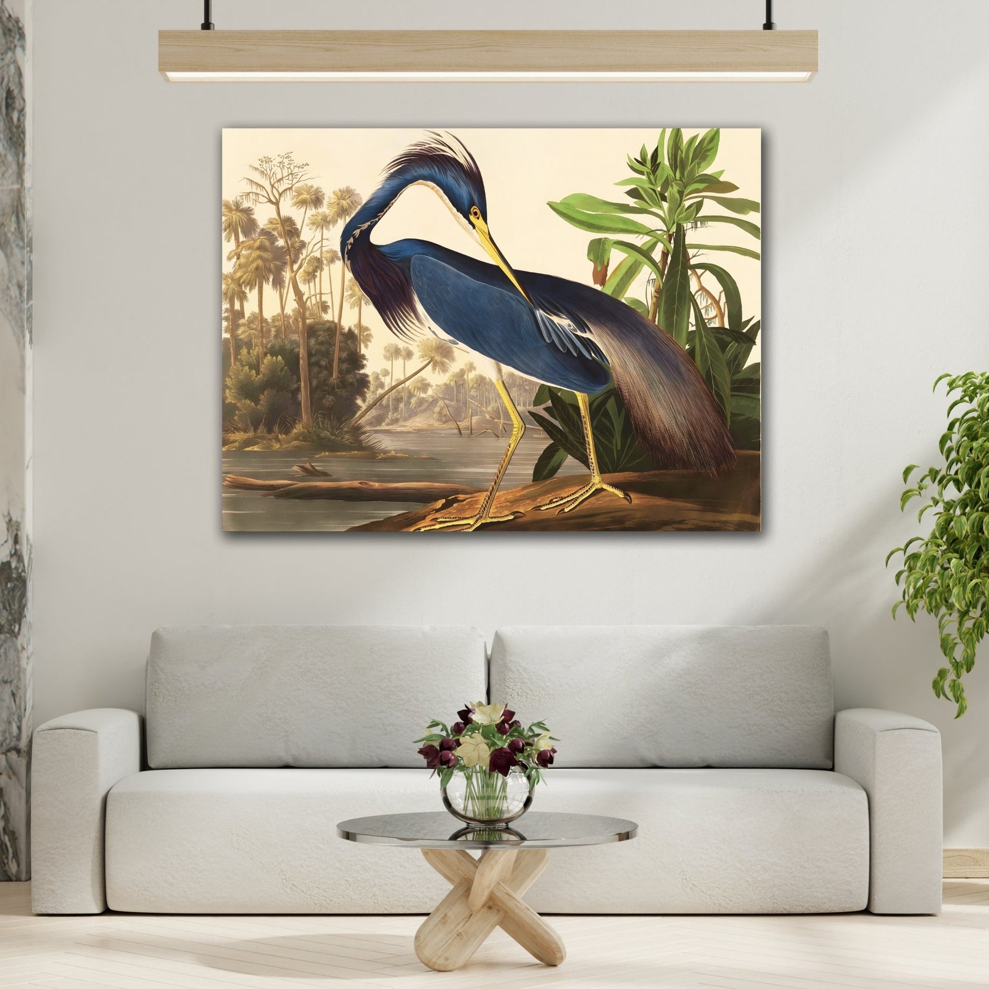 Birds of America Louisiana Heron Audubon Canvas Wall Art Print - YesArtYes