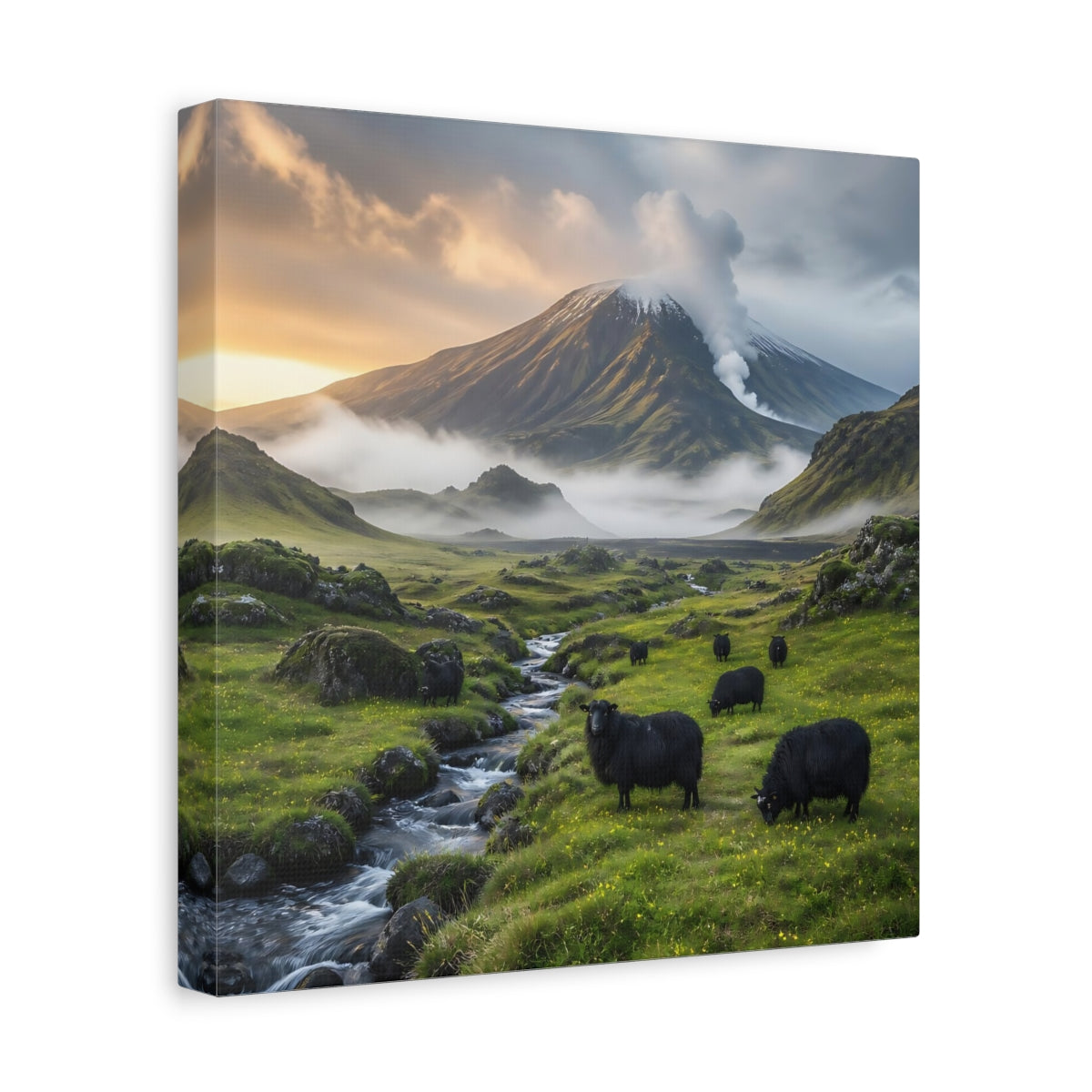 Side Mockup 8. Black Sheep Landscape shown as canvas print