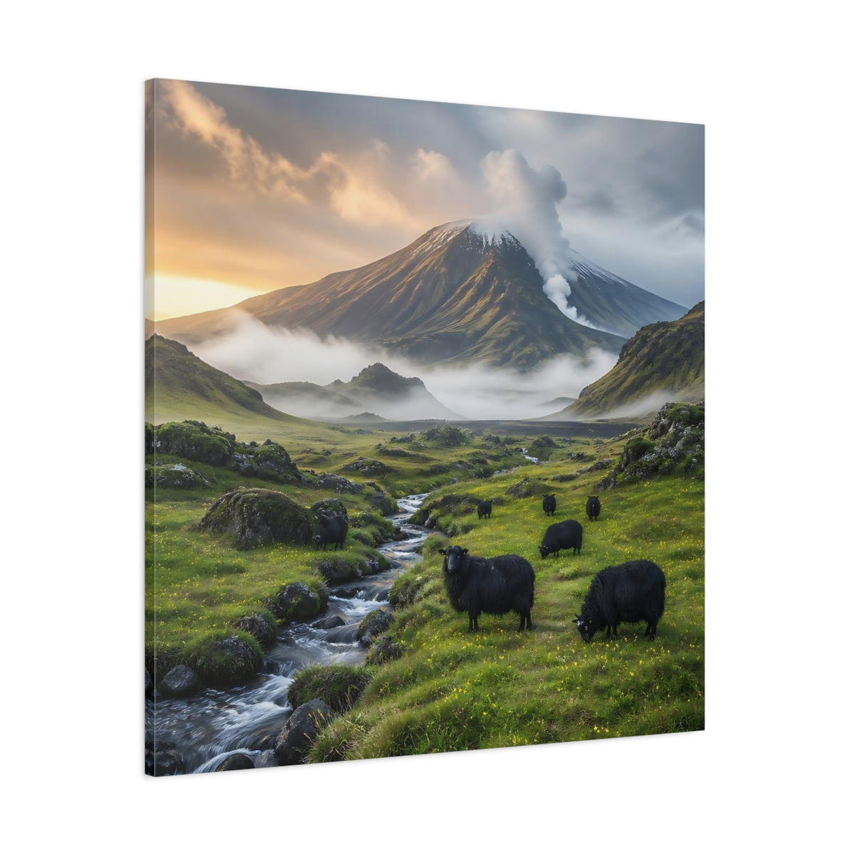 Side Mockup 1. Black Sheep Landscape shown as canvas print