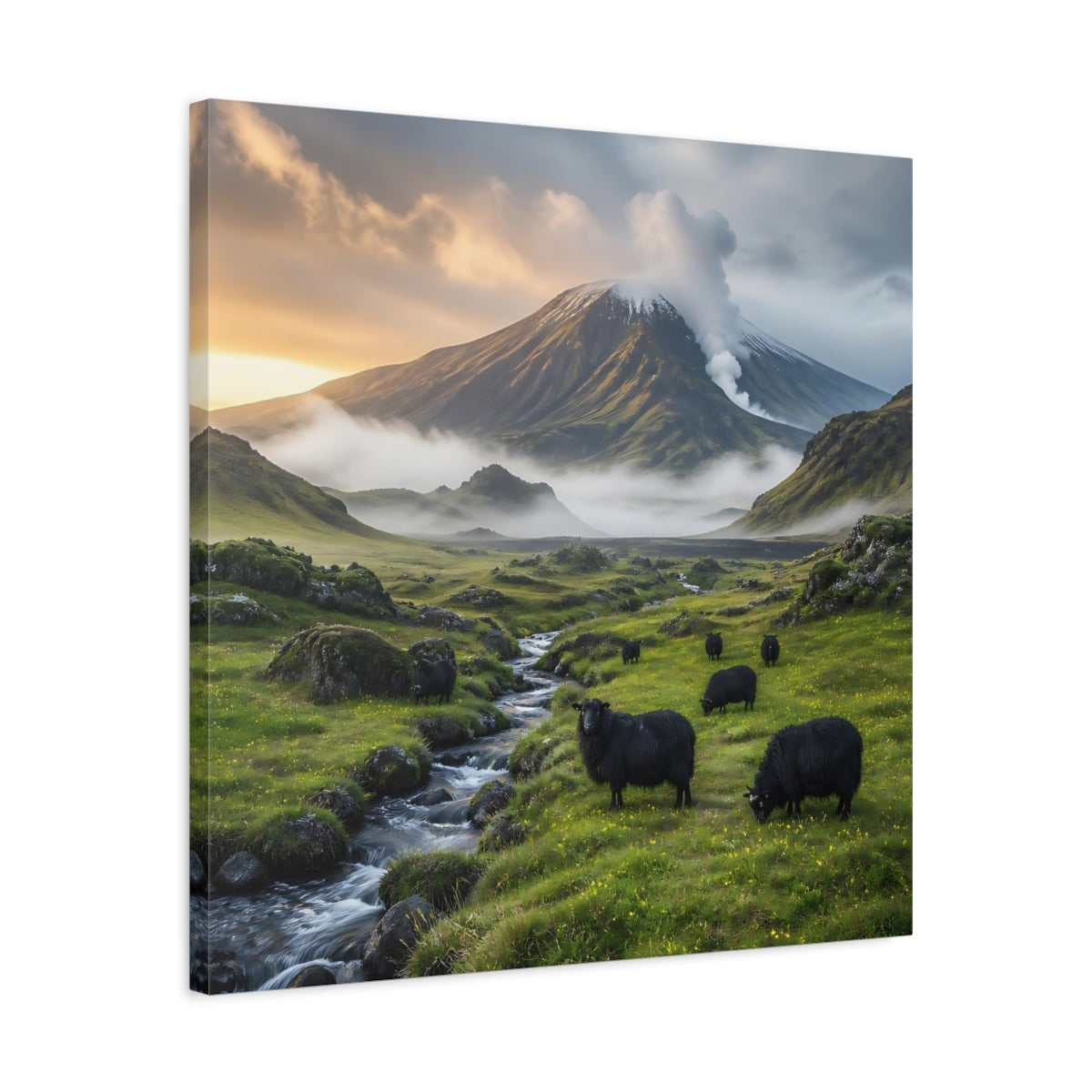 Side Mockup 4. Black Sheep Landscape shown as canvas print