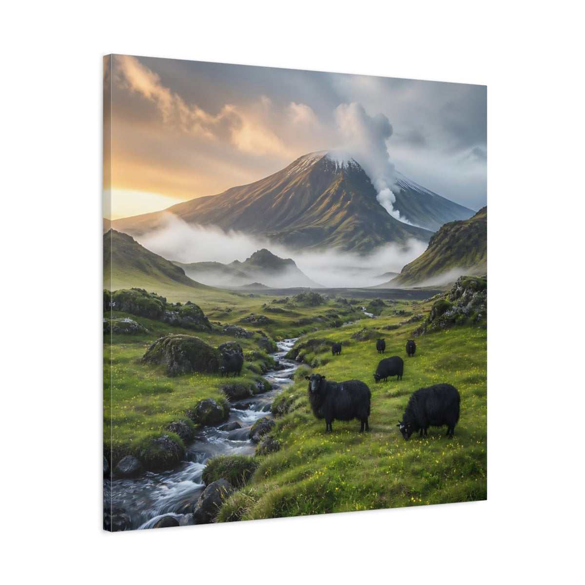 Side Mockup 3. Black Sheep Landscape shown as canvas print