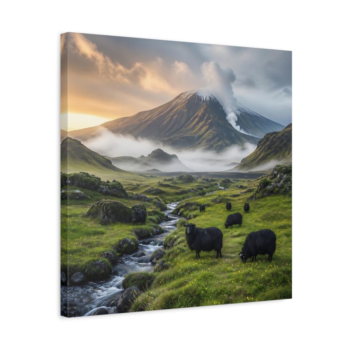 Side Mockup 5. Black Sheep Landscape shown as canvas print