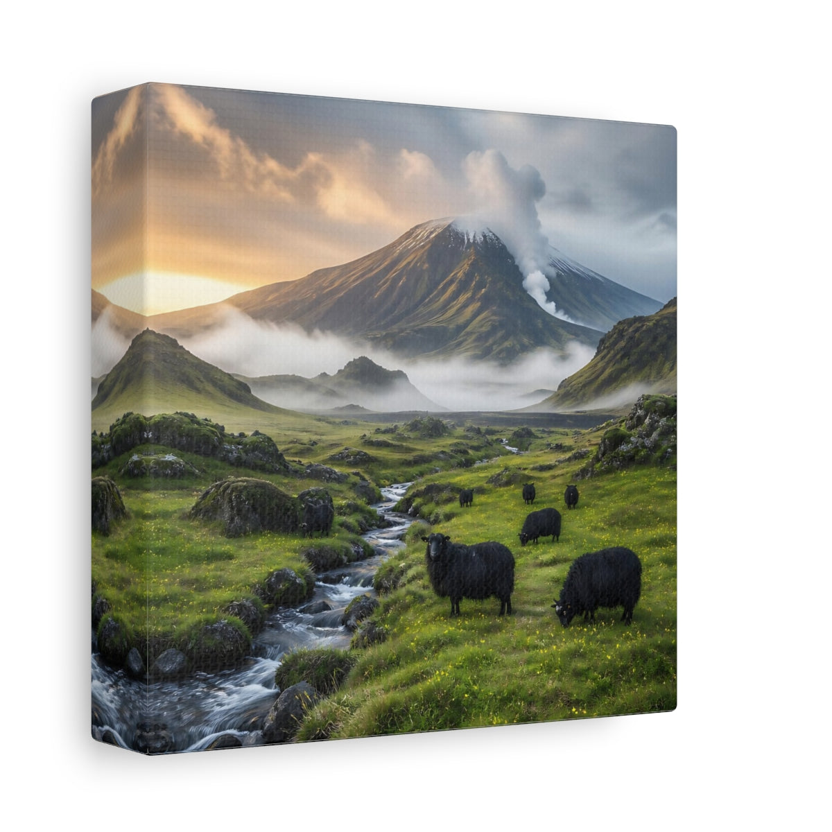 Side Mockup 2. Black Sheep Landscape shown as canvas print