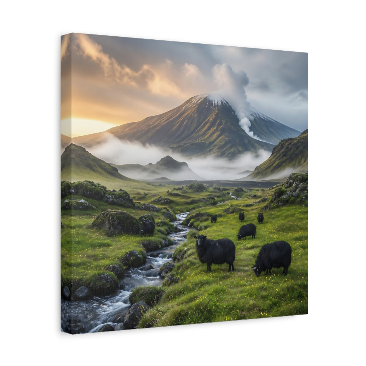 Side Mockup 7. Black Sheep Landscape shown as canvas print