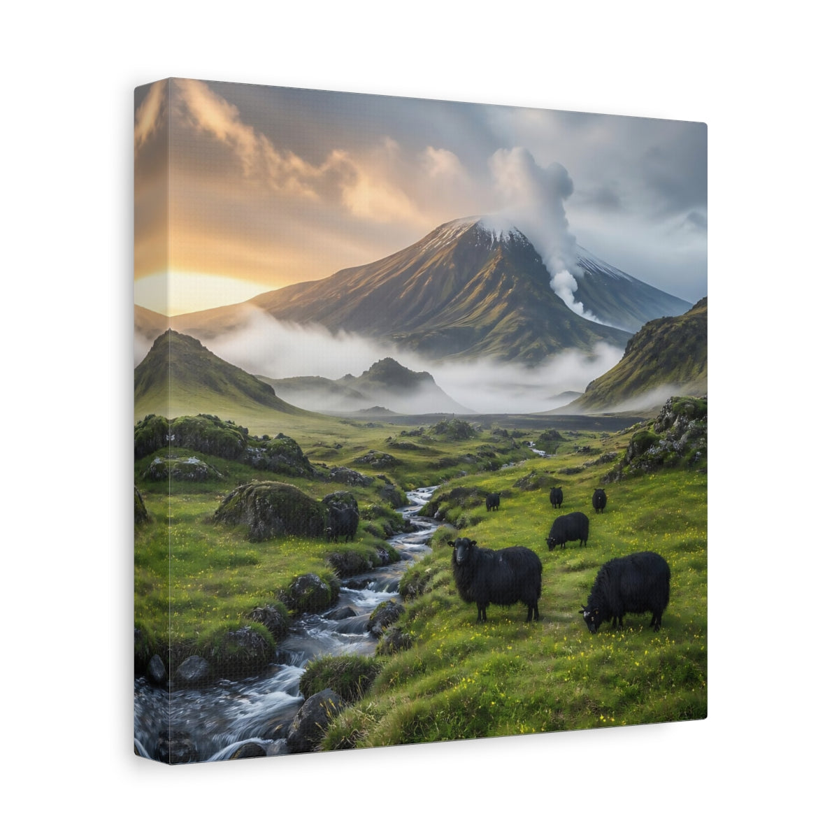 Side Mockup 9. Black Sheep Landscape shown as canvas print