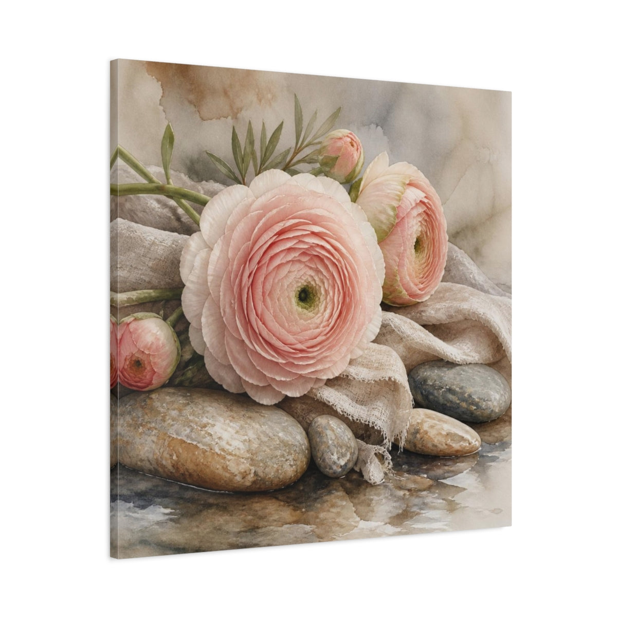 Main Mockup. Blushing Ranunculus On Stones shown as canvas print