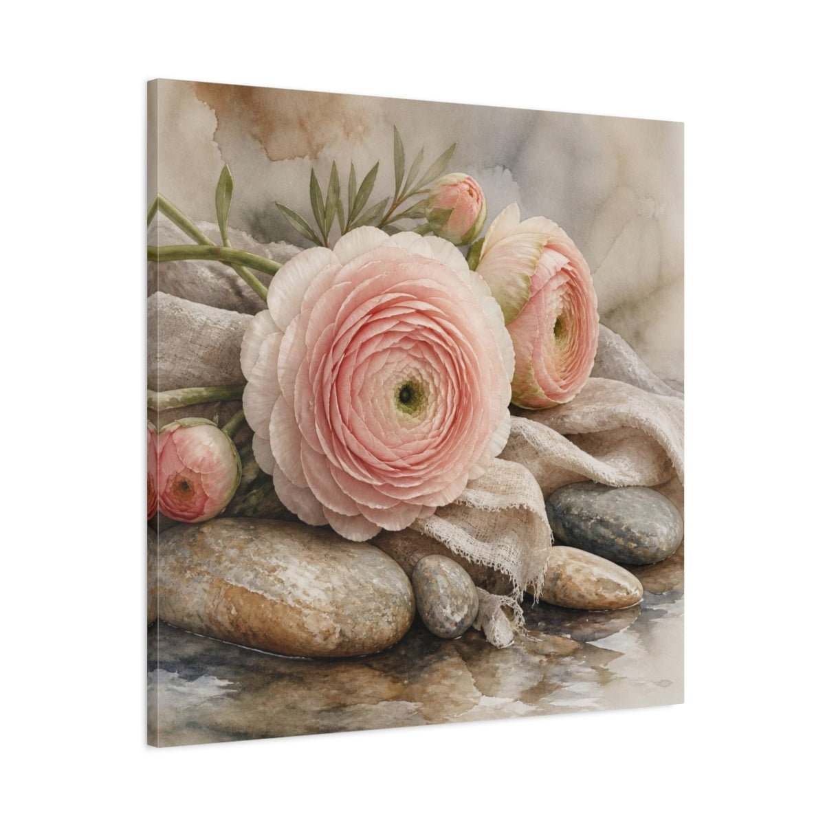Blushing Ranunculus On Stones Canvas Print – Bedroom, Wall - YesArtYes