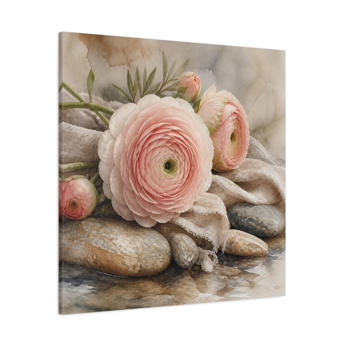 Blushing Ranunculus On Stones Canvas Print – Bedroom, Wall - YesArtYes