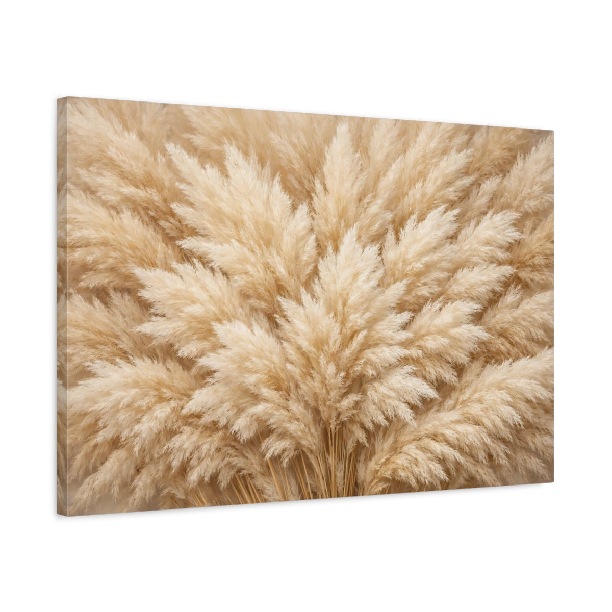 Side Mockup 2. Nature Pampas Grass Neutral Pampas Grass shown as stretched canvas wall art