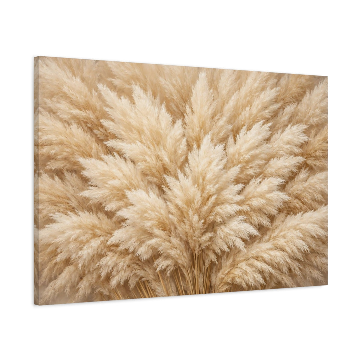 Side Mockup 1. Nature Pampas Grass Neutral Pampas Grass shown as stretched canvas wall art