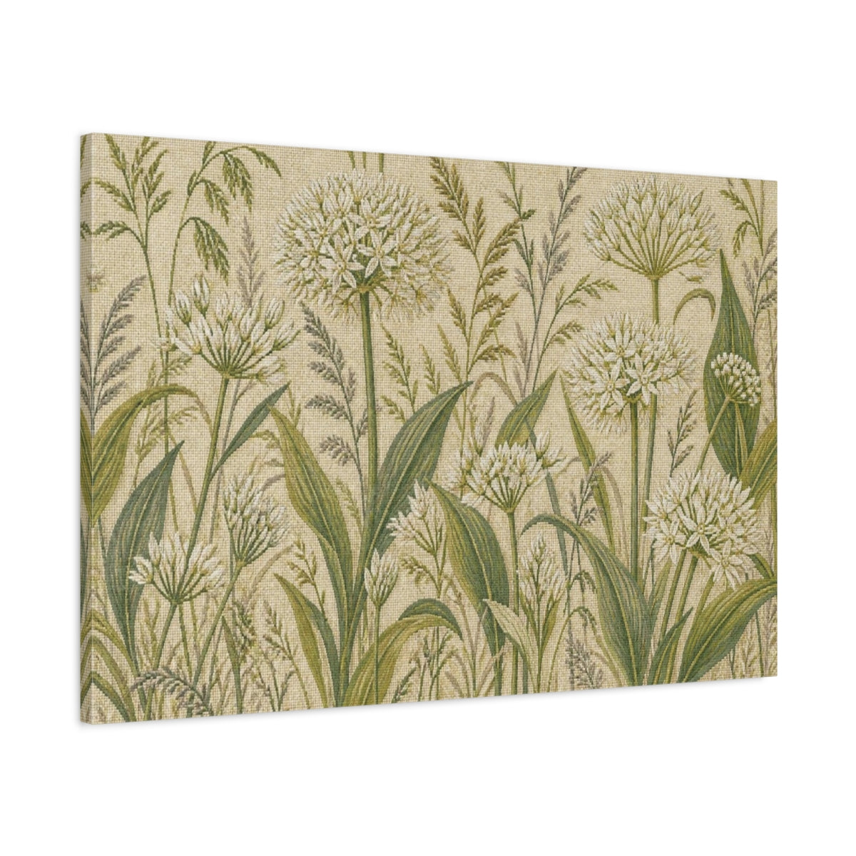 Main Mockup. Botanical Allium Meadow shown as canvas print