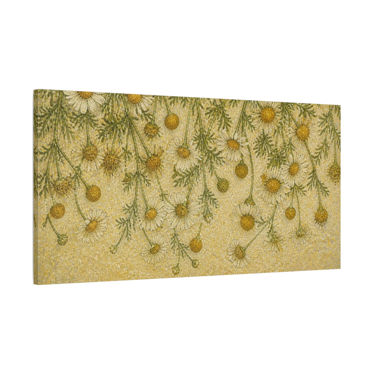 Main Mockup. Botanical Chamomile Study shown as canvas print