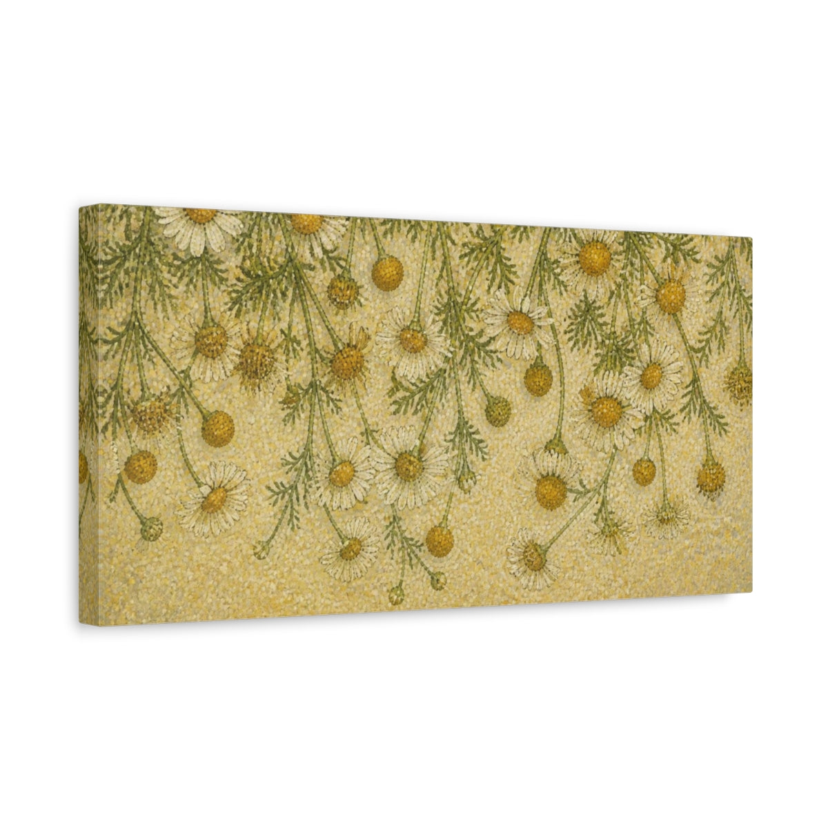 Side Mockup 3. Botanical Chamomile Study shown as canvas print