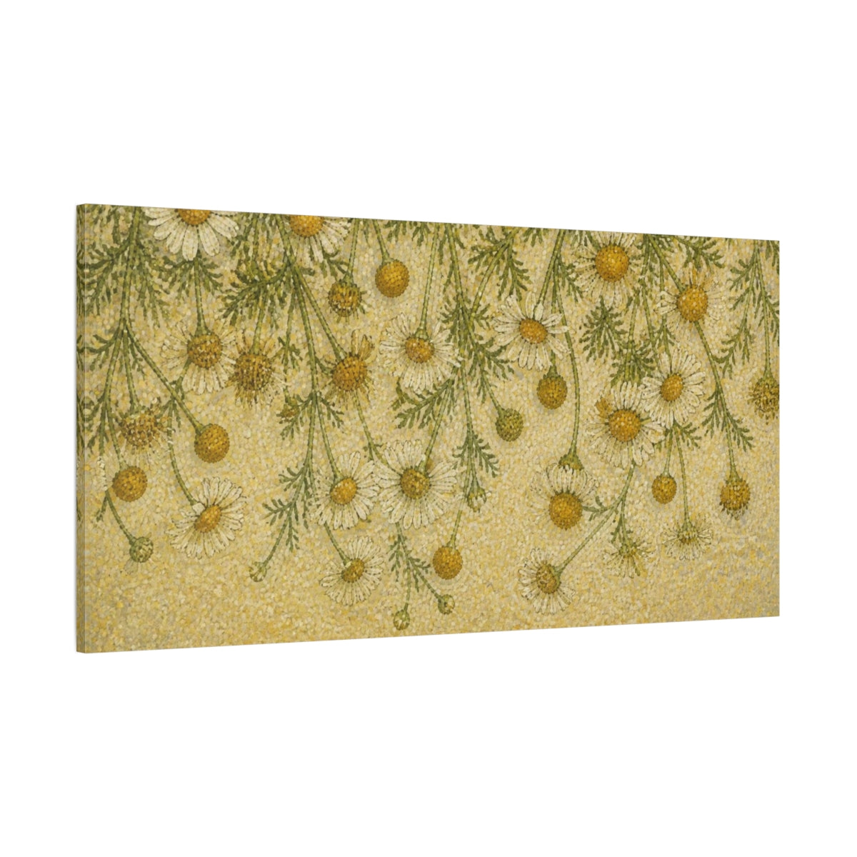 Side Mockup 2. Botanical Chamomile Study shown as canvas print