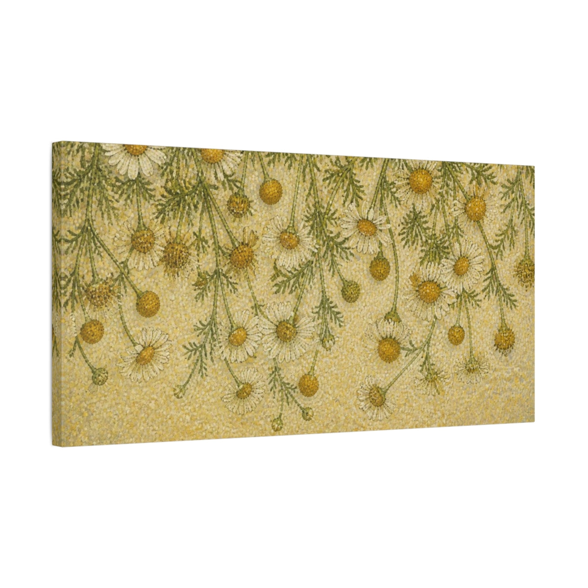 Side Mockup 1. Botanical Chamomile Study shown as canvas print