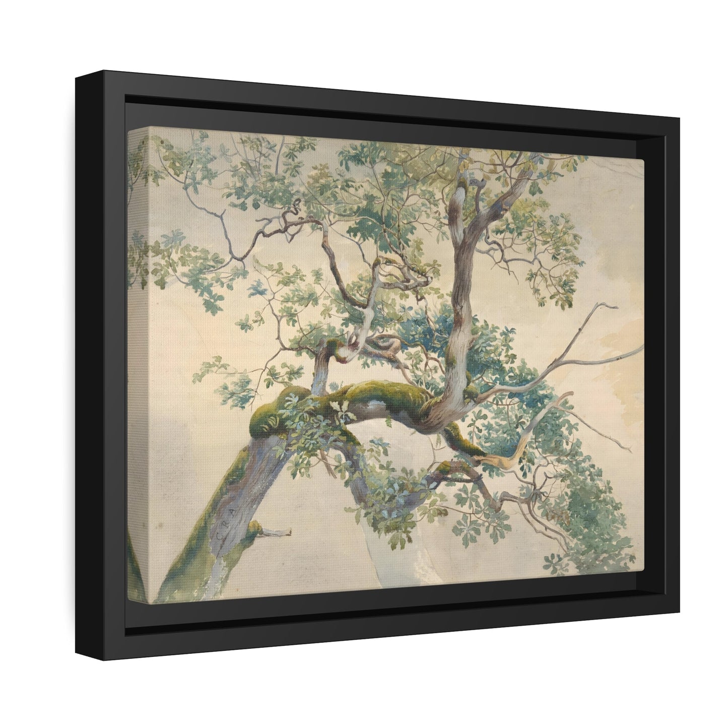 Charles Reginal Aston Tree Branches - Framed Canvas Art Print in Black Pinewood Frame